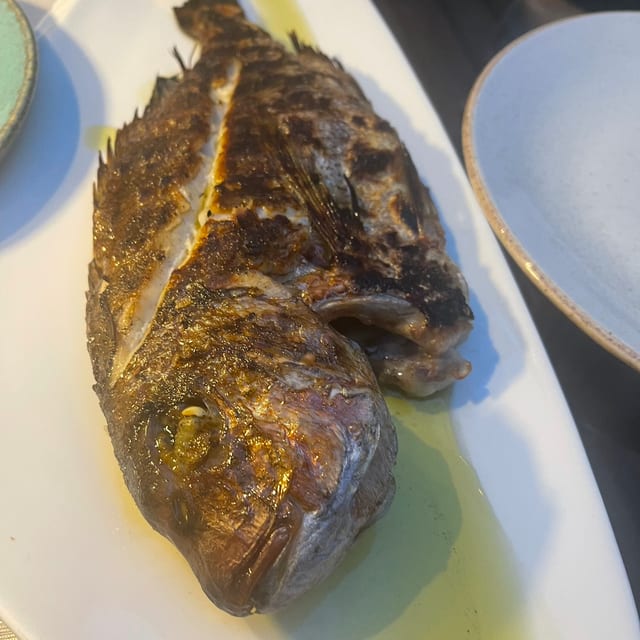 Mahi Mahi.